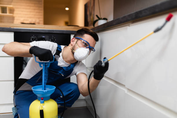 Best Commercial Pest Control Services  in West Babylon, NY