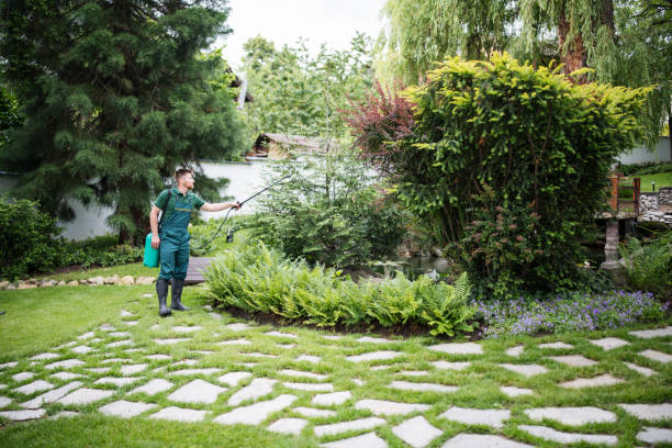 Best Mosquito Control Services  in West Babylon, NY
