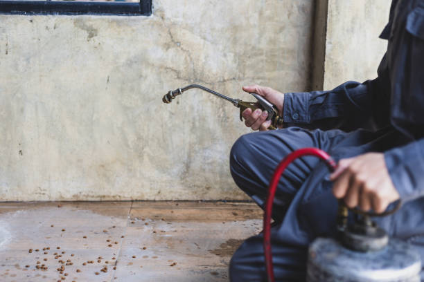 Wasp Removal Services in West Babylon, NY
